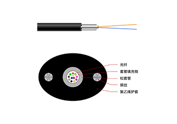 FTTH普通入戶光纜（GYXTPY）